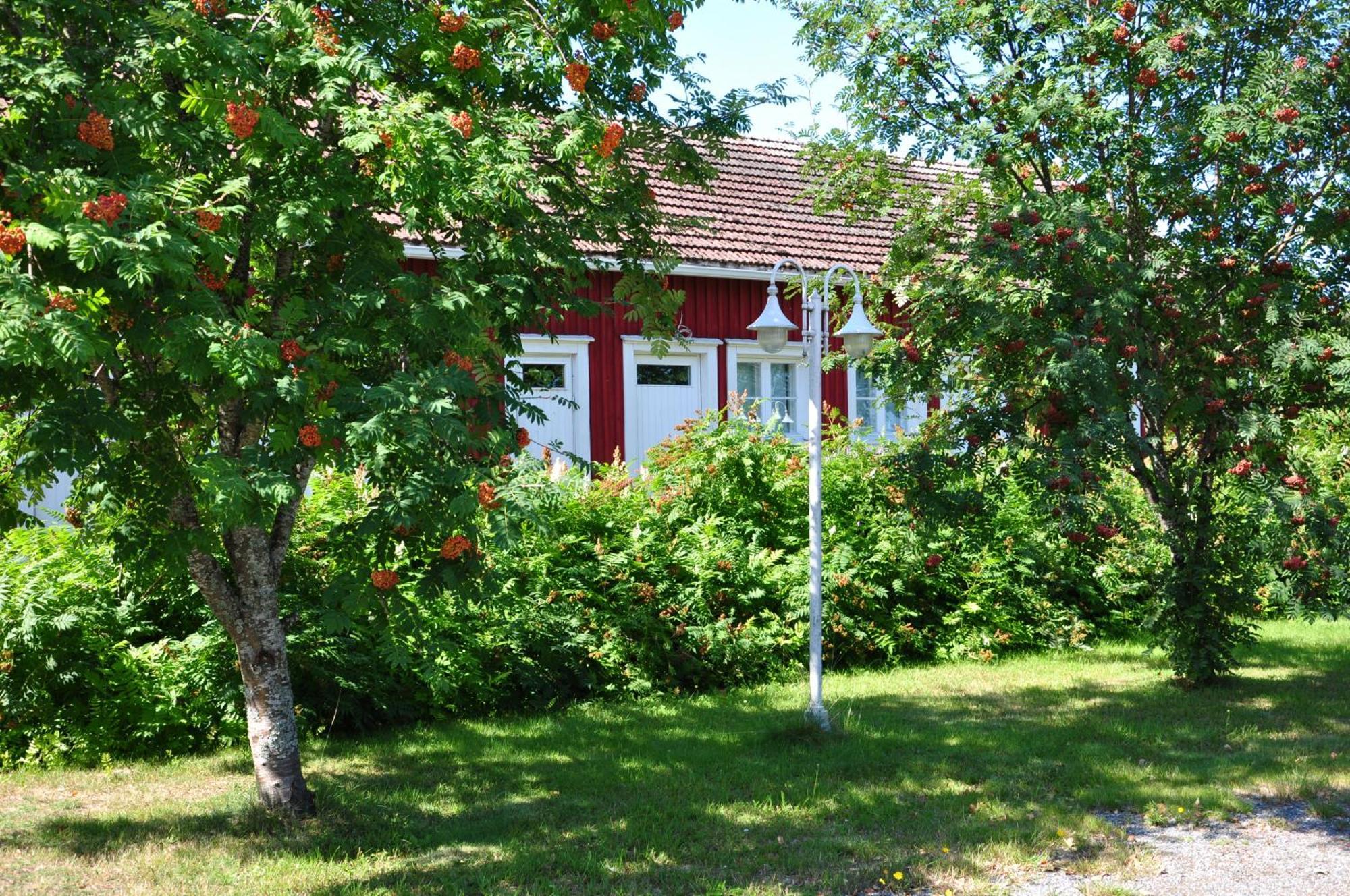 Opintola Bed & Breakfast Norinkylä Exterior foto